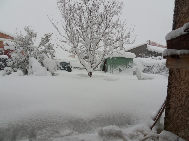 Snow In Perpi !!!! Sdc10114