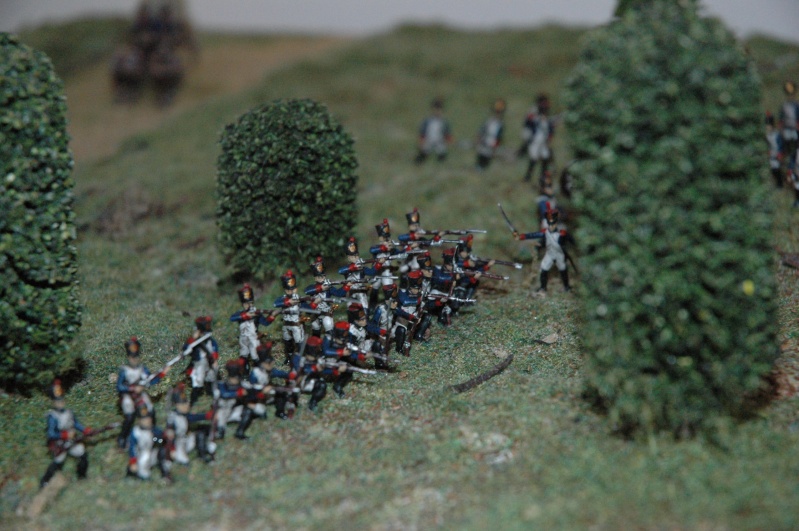 Waterloo diorama - Page 4 Grogna16