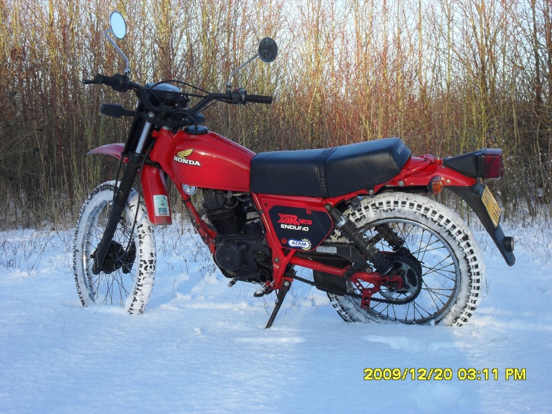 concours photo (janv 2010)votre timono et la neige 22510