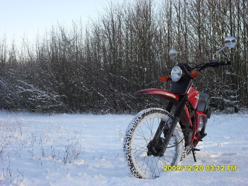 concours photo (janv 2010)votre timono et la neige 22712