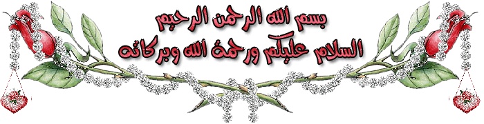 نصائح هامه لطالبات التربية العملية Hgdscn10