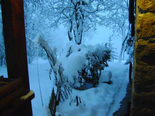 Vi Piacciono le foto ARTISTICHE?? Forum310