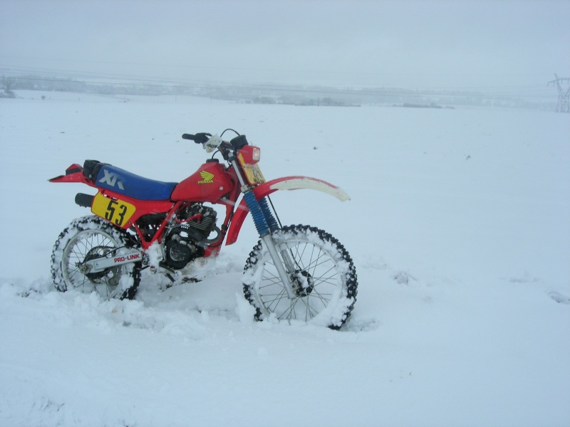 Mes HONDA XR 200 R Xr_tra43