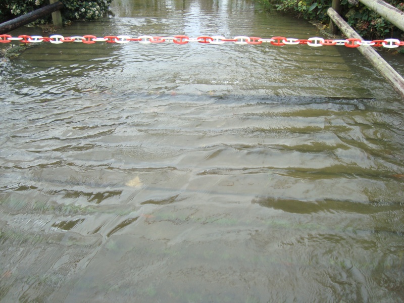 Quand la nature reprend ses droits 510