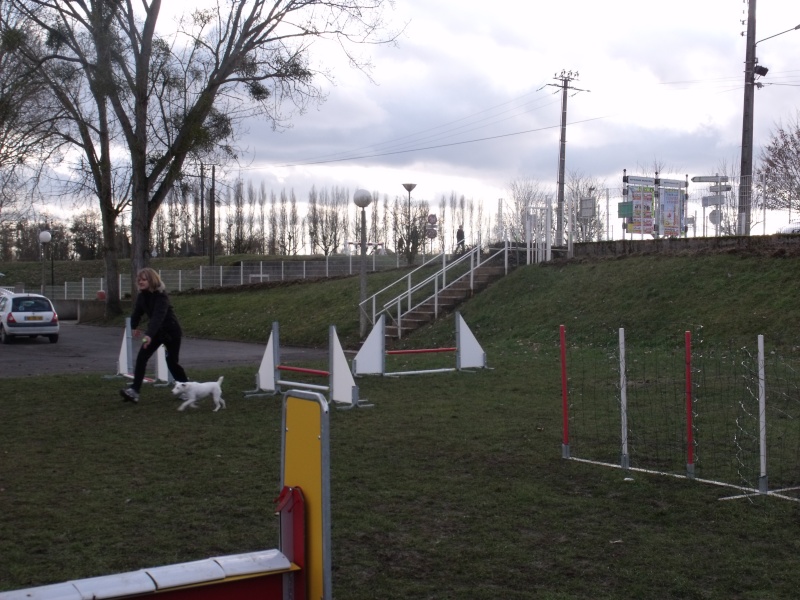 agility avec daisy 2010_015