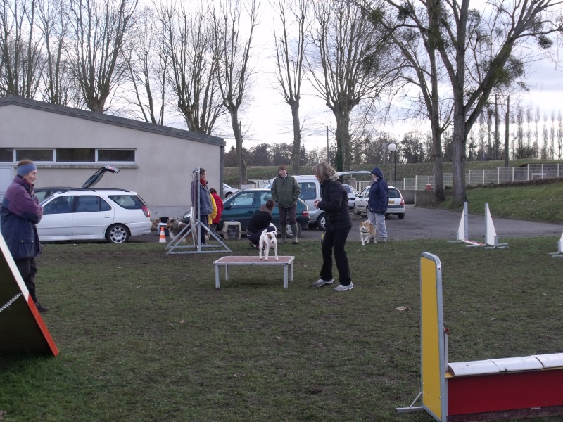 agility avec daisy 2010_016