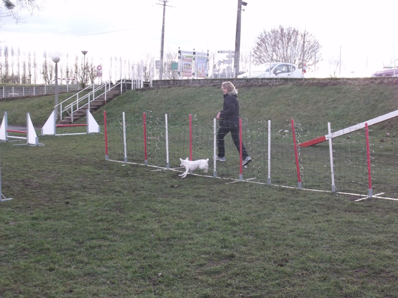 agility avec daisy 2010_019