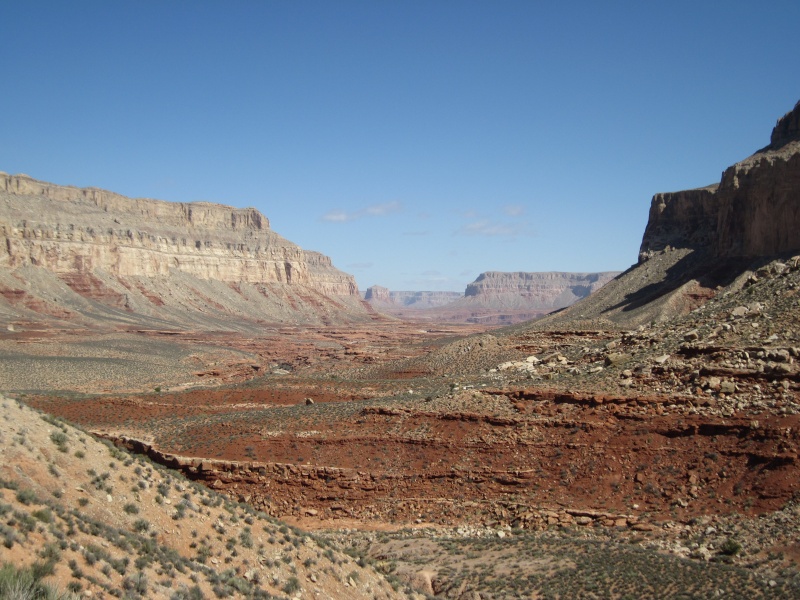 Backpacking Trip: Havasupai (Spring Break '10) Img_0511