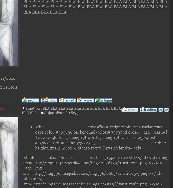 Problème d'affichage HTML dans les postes. Screen11