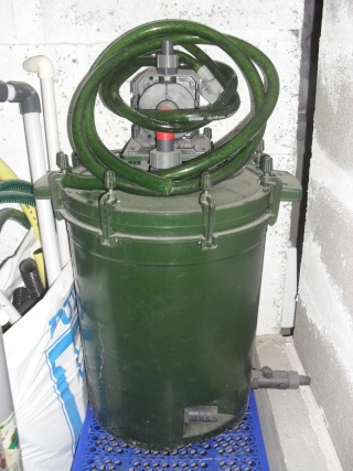 600 litre sauvages Sam_1124