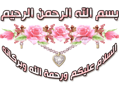 الشيخ محمد حسان سلسلة ائمة الهدى ومصابيح الدجى  123