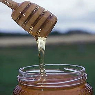 العسل الطبيعي والتأكد من جودته Untit585