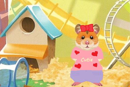 New NEW Hamster cage contest is Design Hamster clothes Blank13
