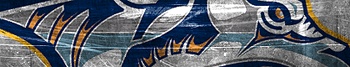 Nashville Predators