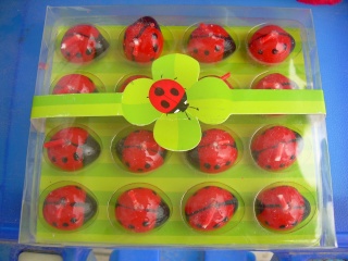 10 bougies - coccinelle 16_bou10