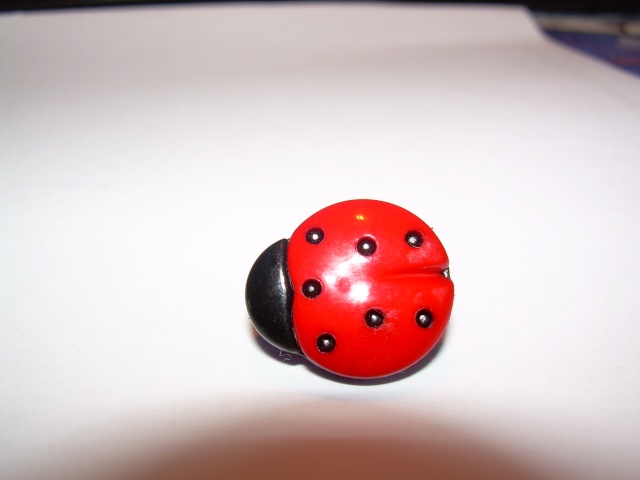 14 - boutons - coccinelle Bouton12