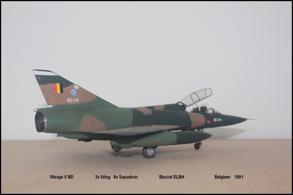 *1/48        Mirage V Belgium         Heller    - Page 2 Bd310