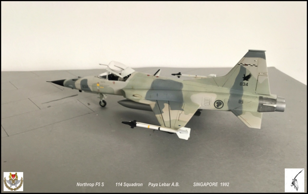 Northrop F 5 S F5s111