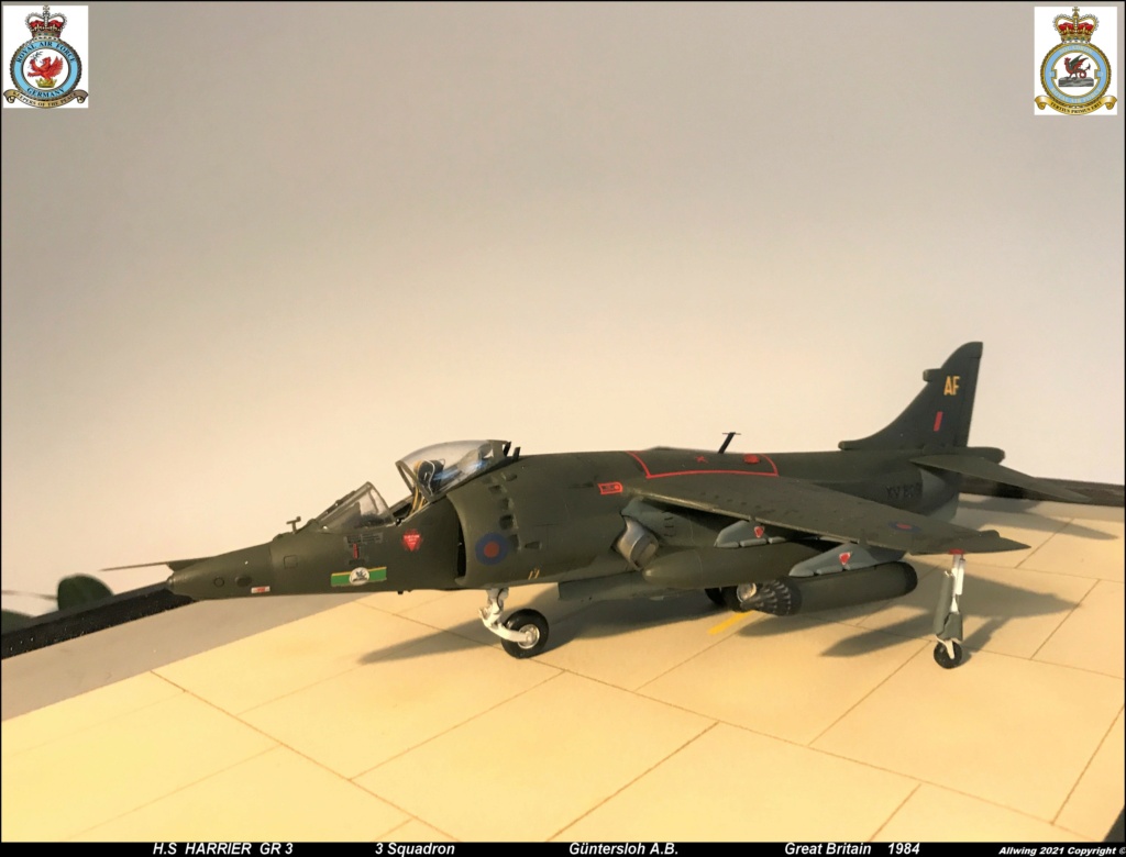 *1/48 H.S. HARRIER GR 3 Airfix - Page 4 Img_0216