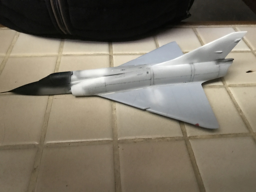 *1/48 MIRAGE III EL F.M - Page 2 Img_0319