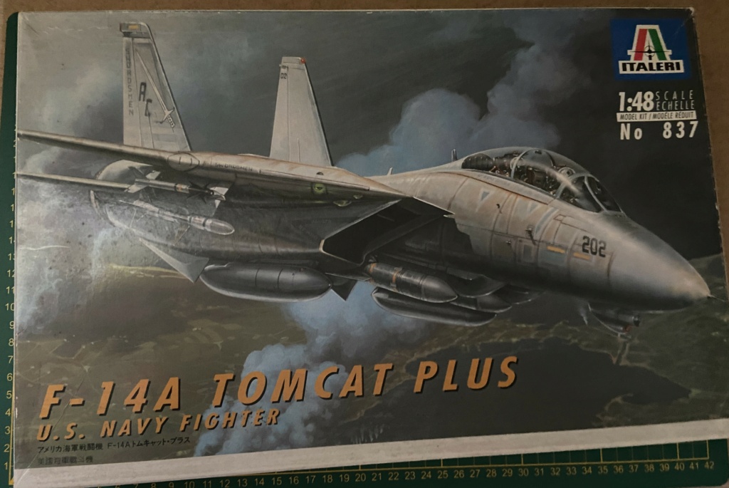 1/48 F 14 A Tomcat Italeri Img_0431