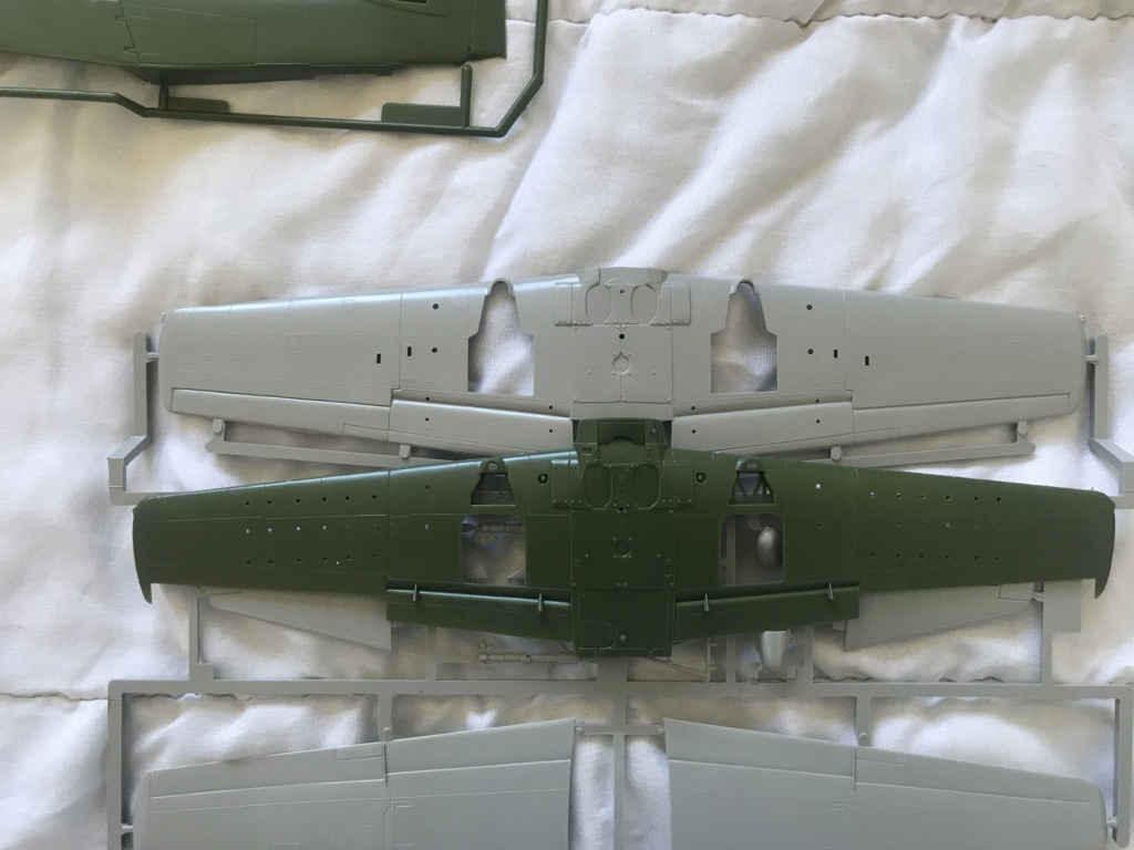 *1/48 SKYRAIDER AEW 1 Esci/ Italeri Img_0553