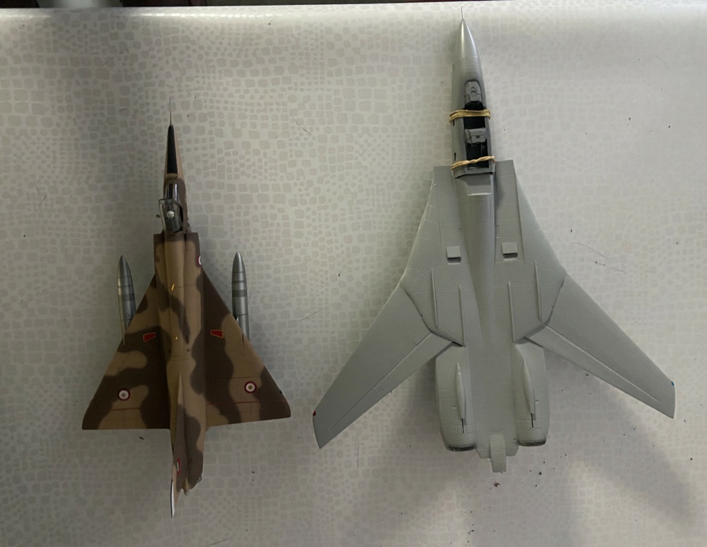 1/48 F 14 A Tomcat Italeri Img_0562