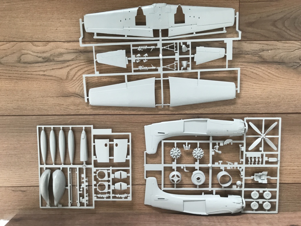 *1/48   SKYRAIDER  AEW 1  Esci/ Italeri   Img_0711