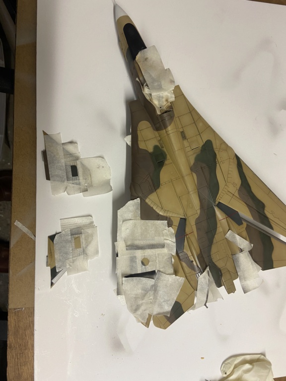 * 1/48       F 14 A Tomcat      Italeri       - Page 4 Img_0828