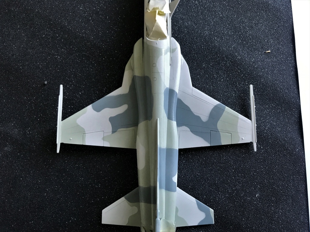 *1/48  Northrop F 5 E   Monogram / Revell     - Page 2 Img_2227