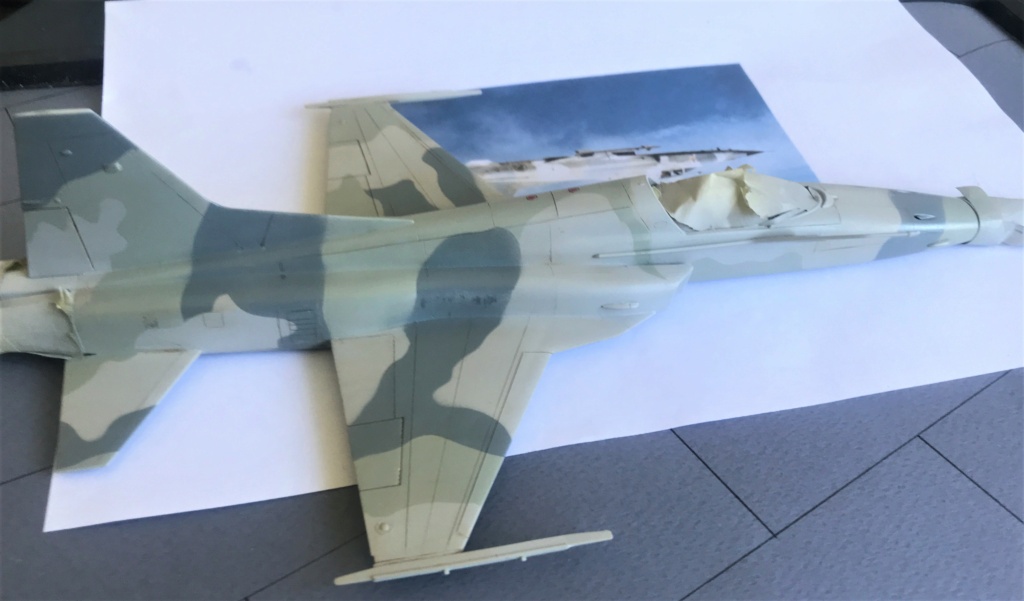 *1/48  Northrop F 5 E   Monogram / Revell     - Page 2 Img_2228