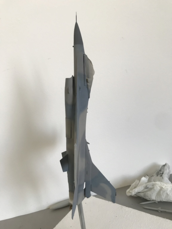 *1/48  F 16 C   Italeri    - Page 2 Img_3538