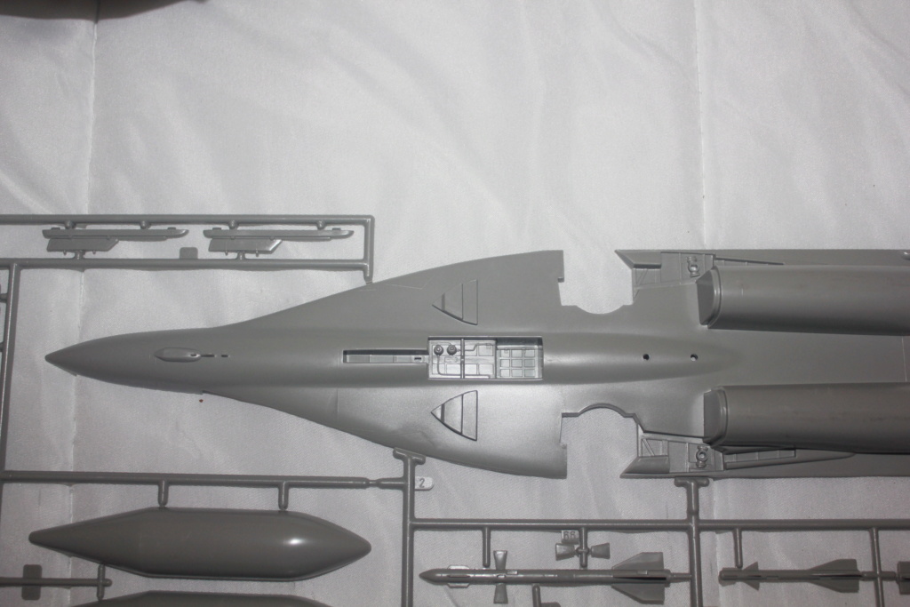 *1/48 MiG 29 Monogram Img_4930