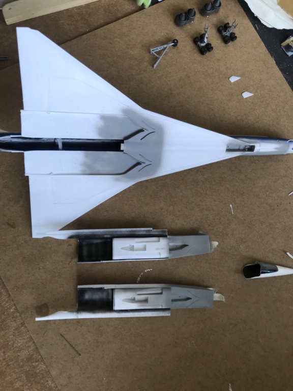 *1/144 TUPOLEV 144 "Charger" I.C.M. FINI en pg3 - Page 2 Img_6268