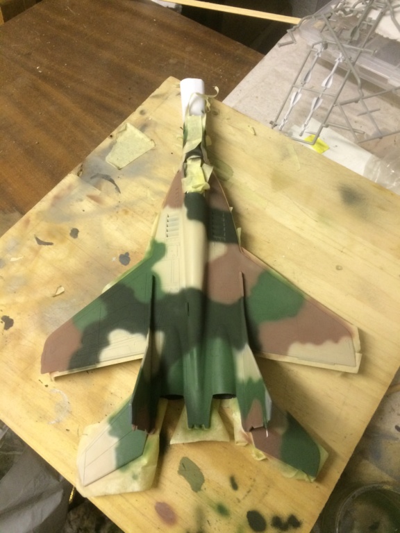 *1/48  MiG 29       Monogram   - Page 4 Img_6614