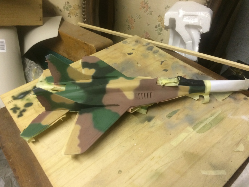 *1/48  MiG 29       Monogram   - Page 4 Img_6617