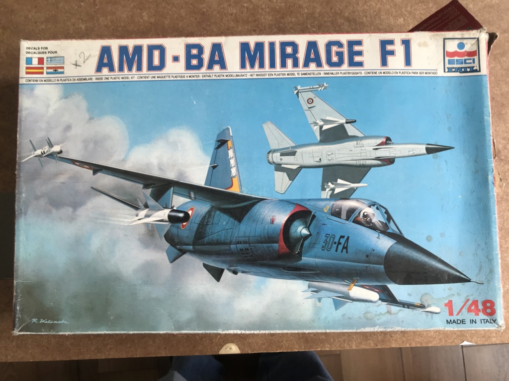 *1/48  Mirage F1CZ    Esci    Img_6629