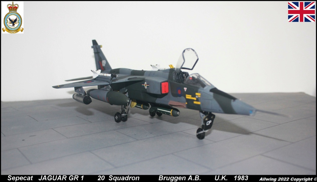 * 1/48 JAGUAR GR1 Airfix. - Page 3 Img_6650