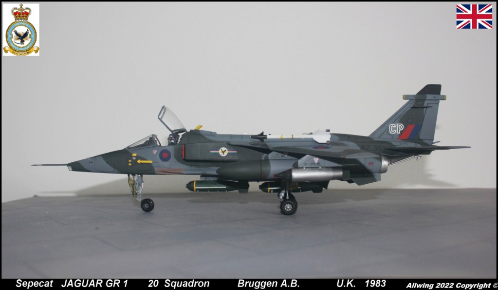 * 1/48 JAGUAR GR1 Airfix. - Page 3 Img_6652