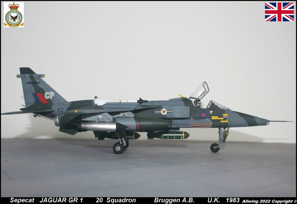 * 1/48 JAGUAR GR1 Airfix. - Page 3 Img_6653