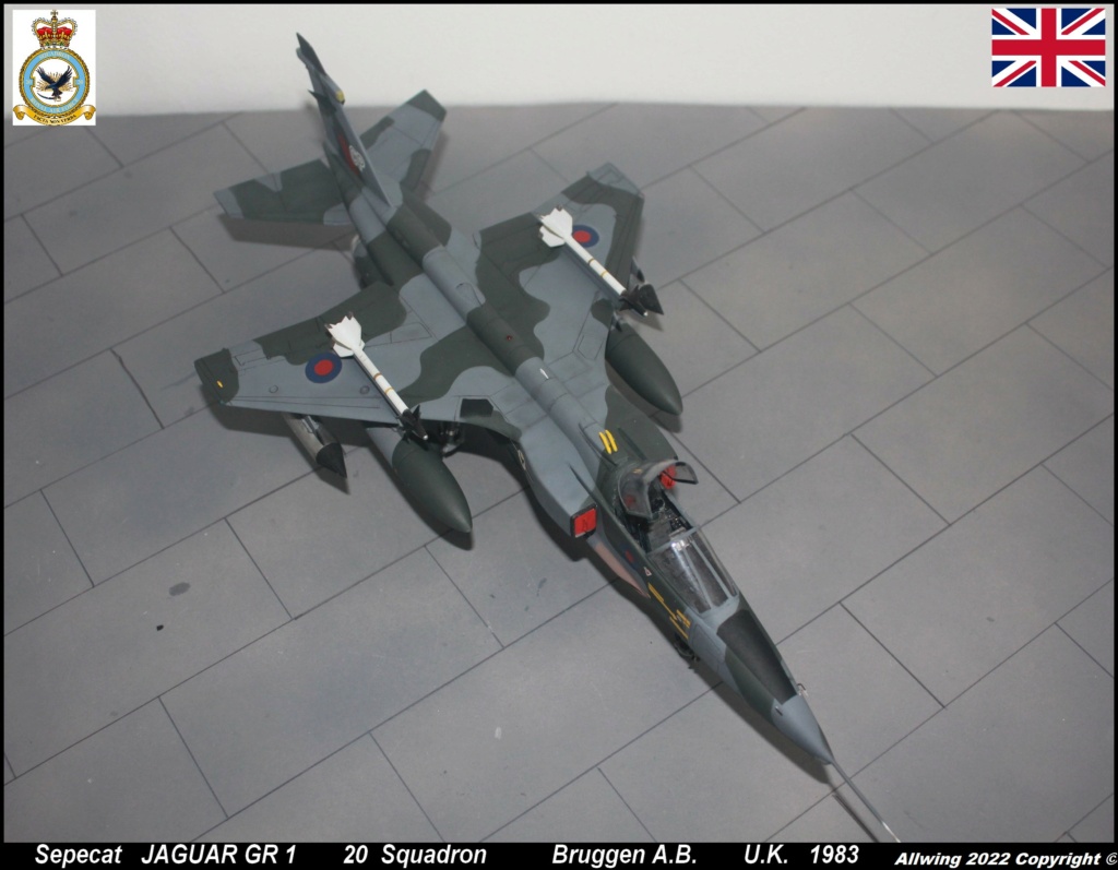 * 1/48 JAGUAR GR1 Airfix. - Page 3 Img_6654