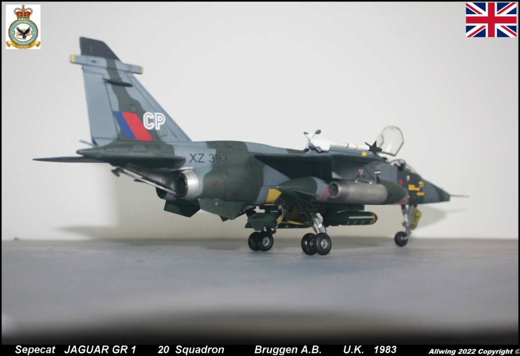 * 1/48 JAGUAR GR1 Airfix. - Page 3 Img_6656