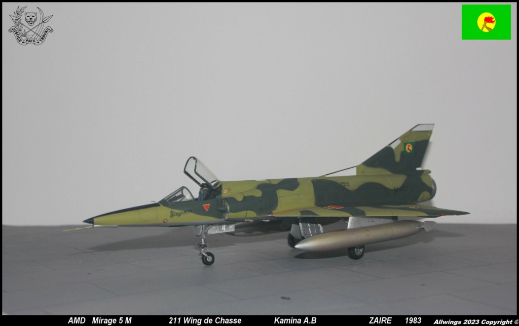 * 1/48   Mirage 5 M      Kinetic      - Page 3 Img_6662