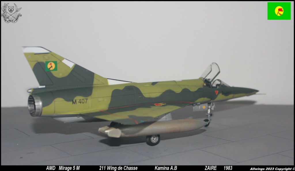 * 1/48 Mirage 5 M Kinetic - Page 3 Img_6663