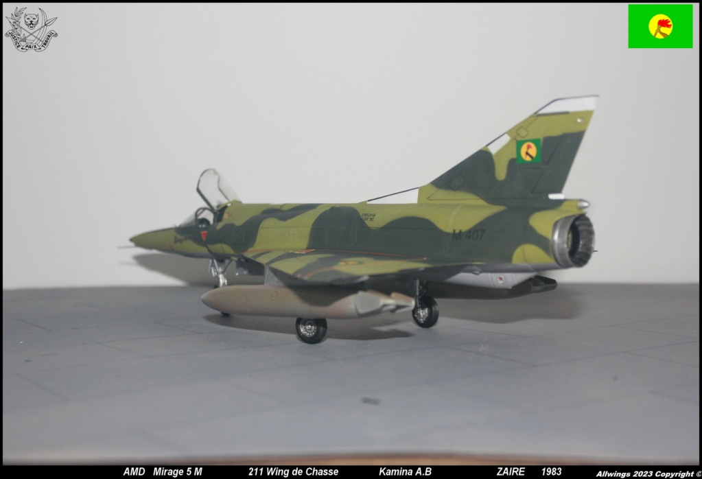 * 1/48   Mirage 5 M      Kinetic      - Page 3 Img_6664