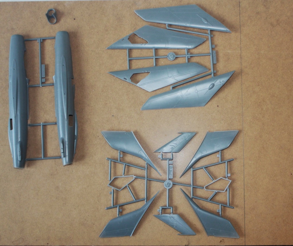 * 1/48 Shenyang F6 H.I.P.M Img_6970