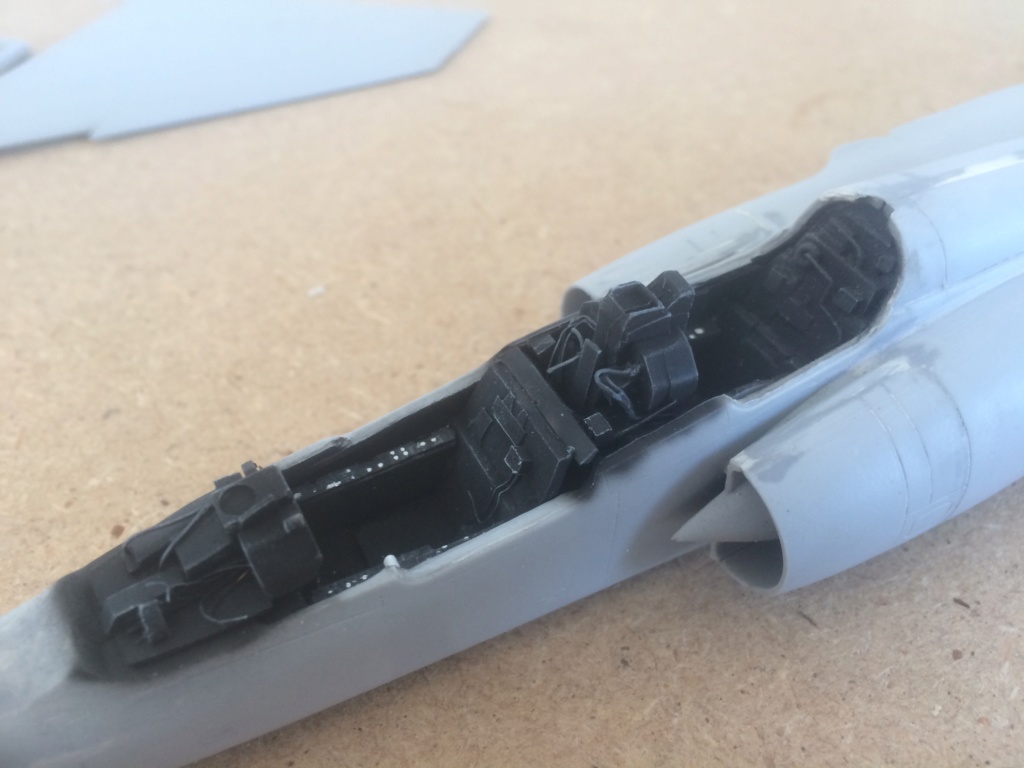 1/48 Mirage F1 B F.M. FINI Img_7017