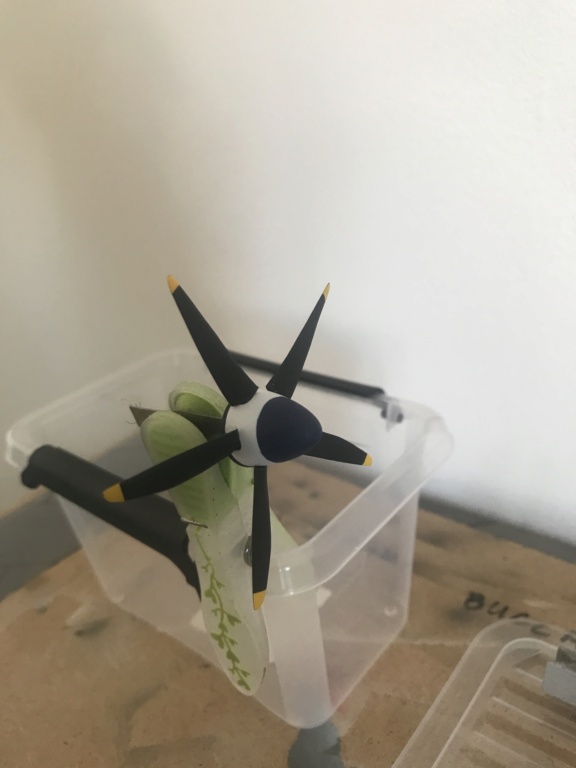 *1/48 Supermarine Spitfire MK 24 Airfix Img_7233