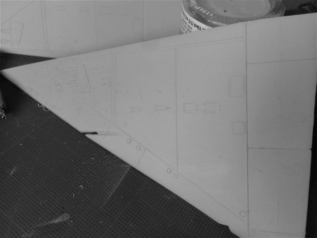 1/48 Mirage III EBR Heller + FM FINI Img_7316