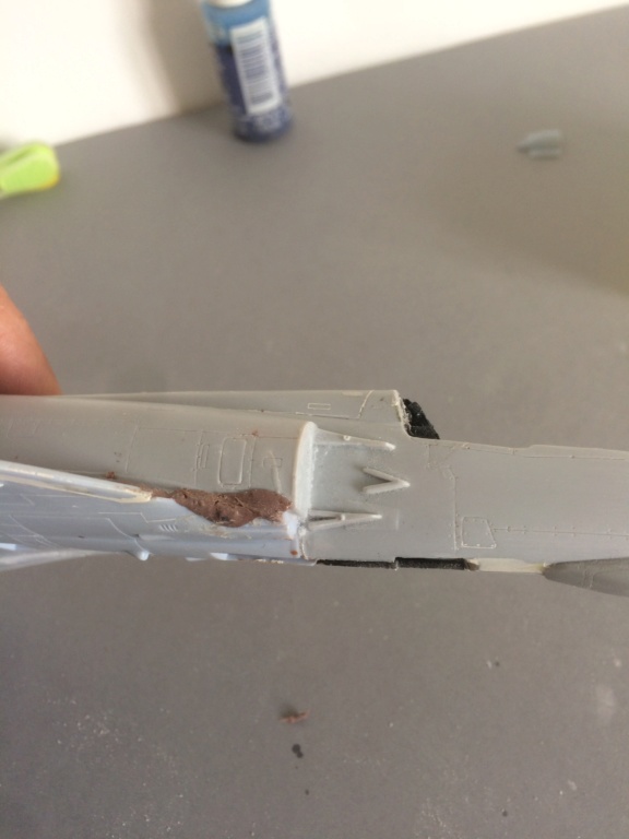 1/48 Mirage III EBR Heller + FM FINI Img_7329